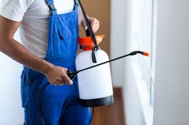 Emergency Pest Control Services in Antelope, CA